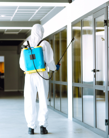 הדברה בבניינים