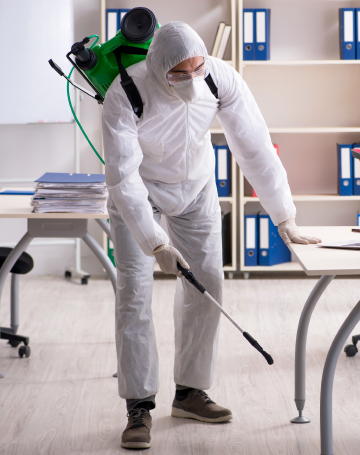 הדברת דירות ומשרדים